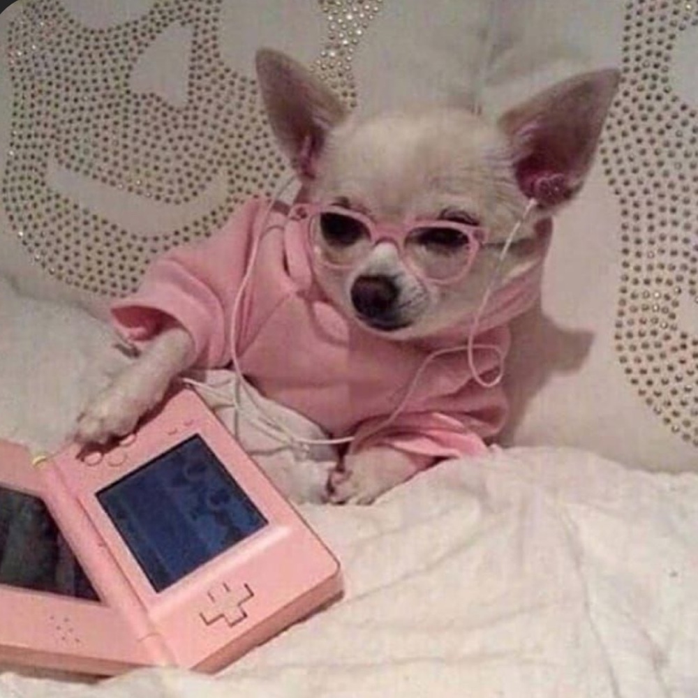 Meet your Posher, Analicia